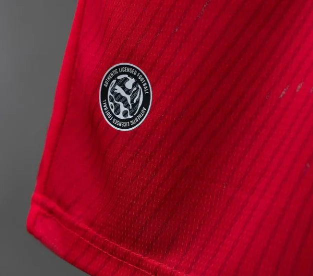 Switzerland 2026 Home Kit